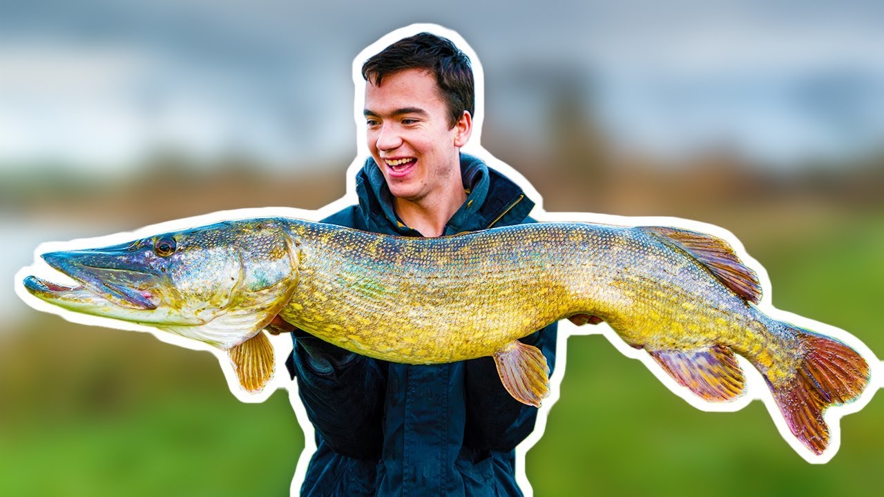GIANT PIKE in CRYSTAL CLEAR WATER!
