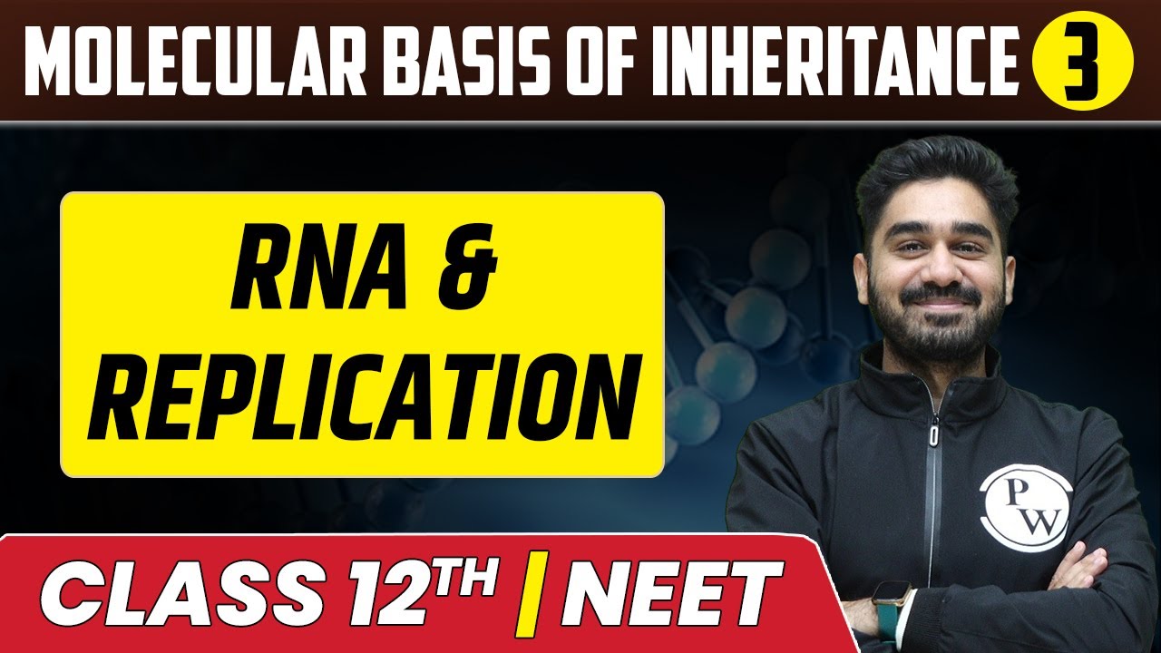 Molecular Basis Of Inheritance 03 | RNA & Replication | Class 12th/NEET