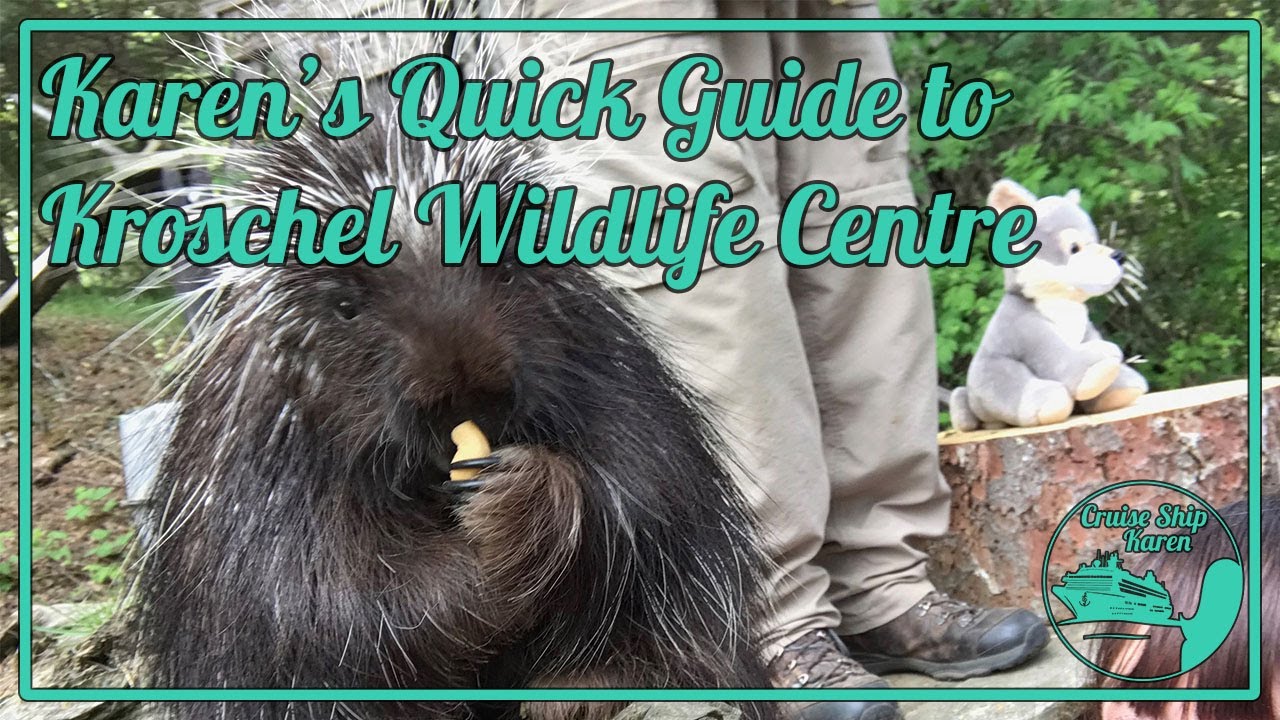 Karen's Quick Guide to Kroschel Wildlife Centre, Haines