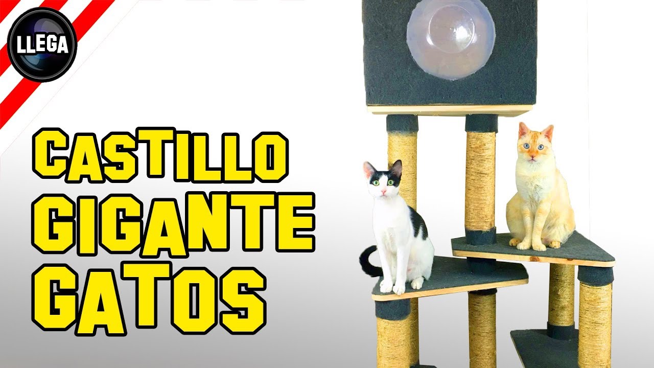 CÓMO HACER UN CASTILLO o GIMNASIO PARA GATOS GIGANTE !!!