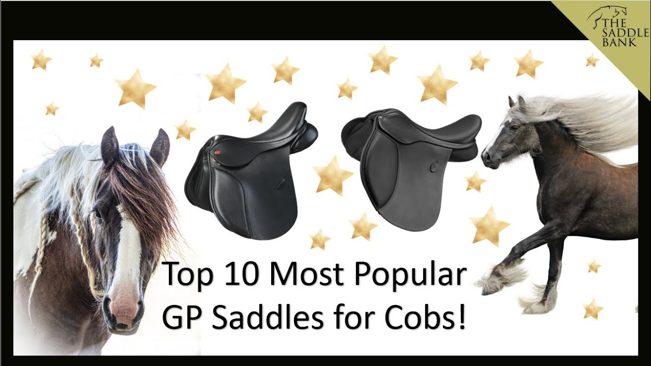 TOP 10 Most popular saddles for COBS and SUPER WIDE horses!