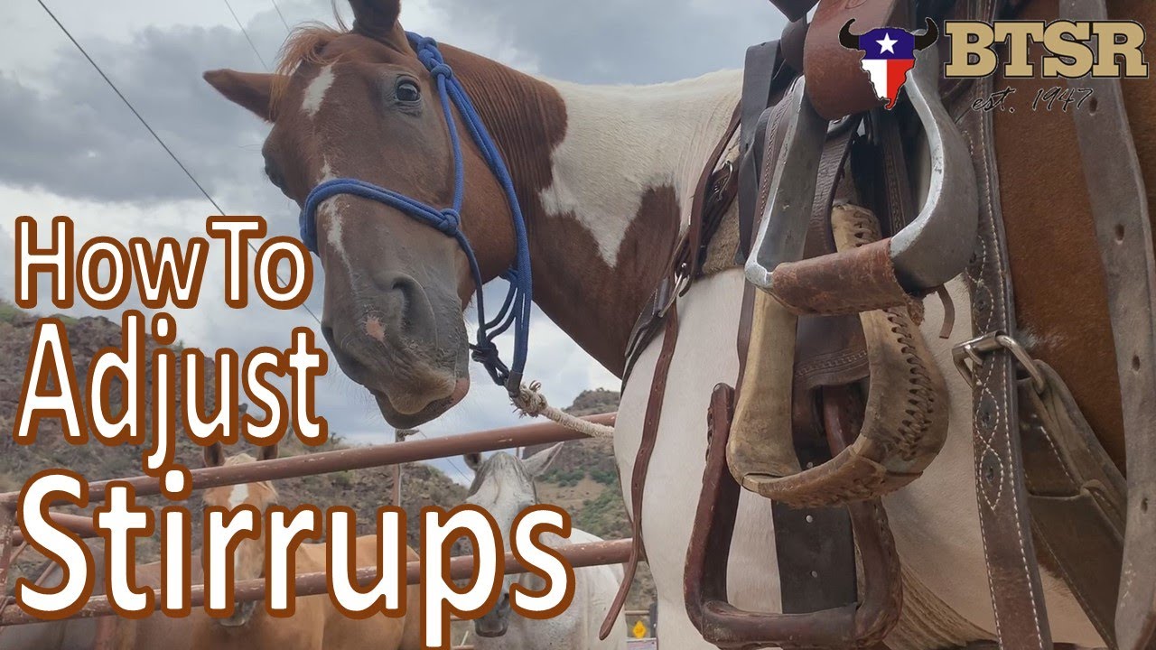 How To Adjust Stirrups For Western Saddles -BTSR- Cavalcade Horse Program