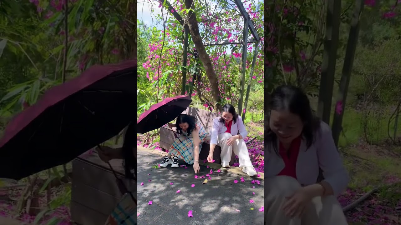Khu du lịch SOL Retreat - Bắc Tân Uyên 