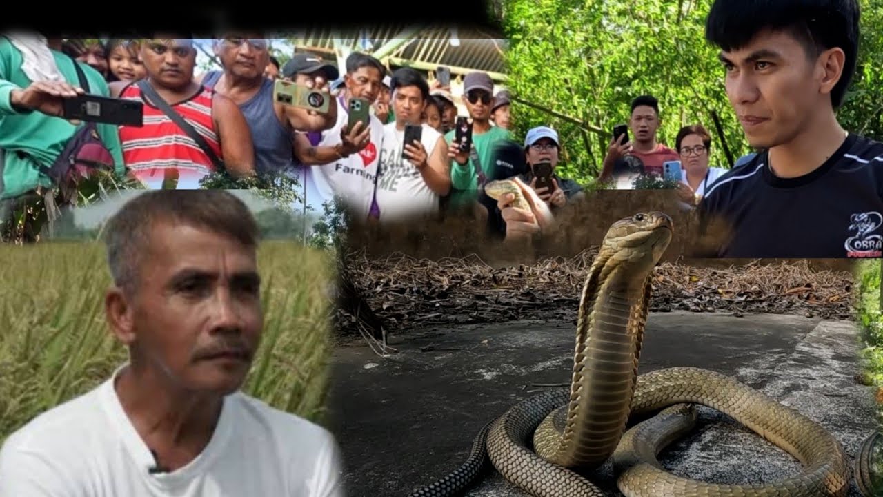 P*TAY ANG ANAK SA T*KLAW NG TATLONG COBRA