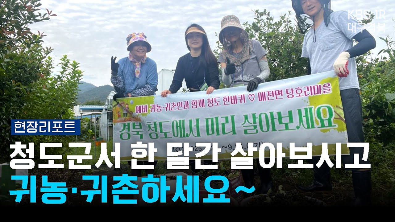 청도군서 한 달간 살아보시고 귀농 · 귀촌하세요~ [현장리포트] 250904