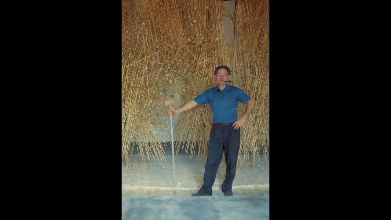 Harry Bertoia Master of Metal