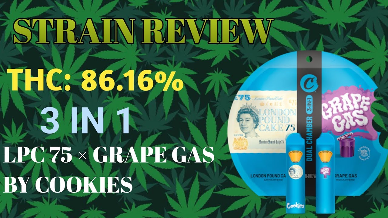 Gassy! LPC 75 x Grape Gas 3in1 Dual Chamber Vape by Cookies - Strain Review
