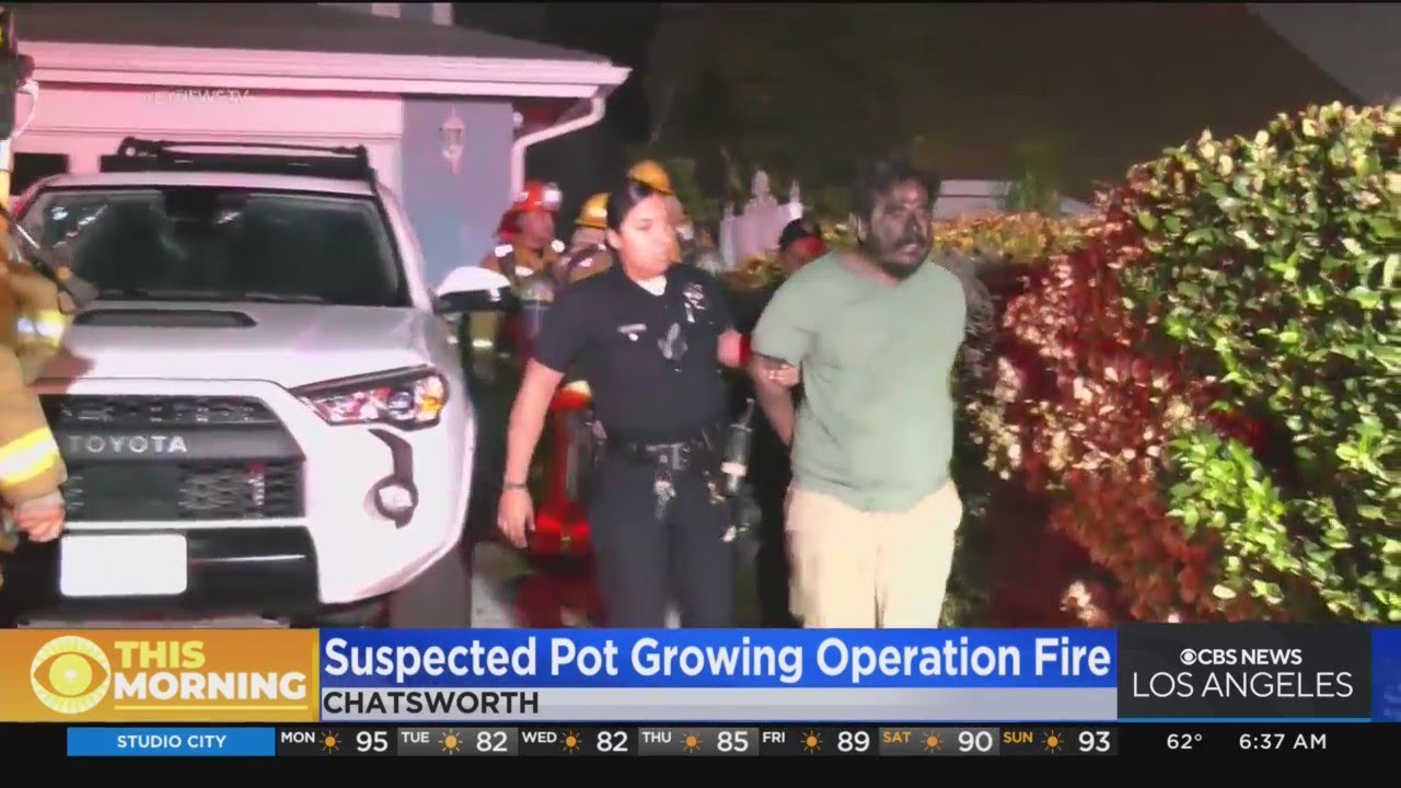 Fire burns suspected pot growing operation in Chatsworth