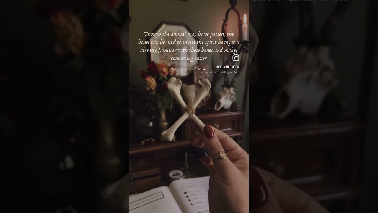 Why do some Witches work with Bones? #witch #witchcraft #witchy