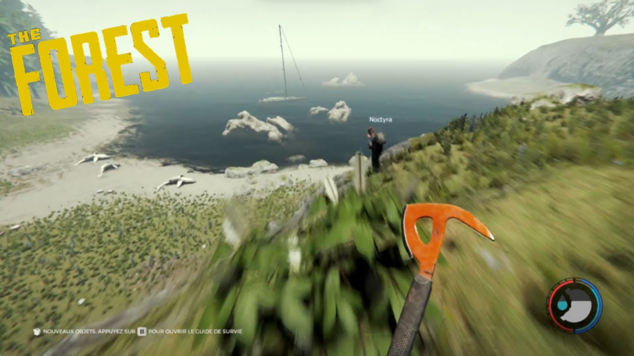 Le début de l’aventure est plutôt pas mal | The Forest feat Noctyra #1
