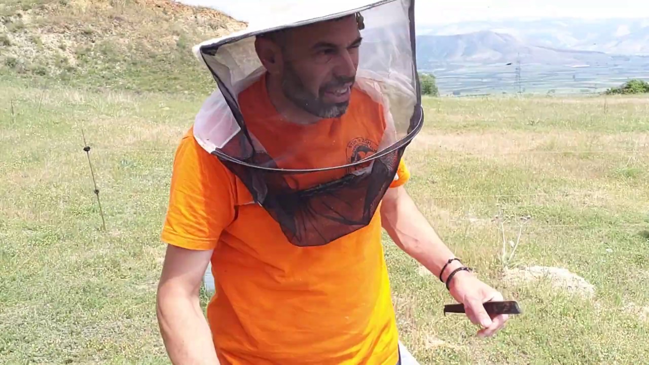 Σύντομη επιθεώρηση μελισσιών στις ακακίες μετά από την κακοκαιρία