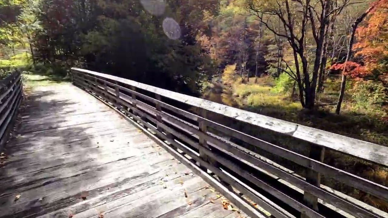 West Fork trail Glady to Durbin WV
