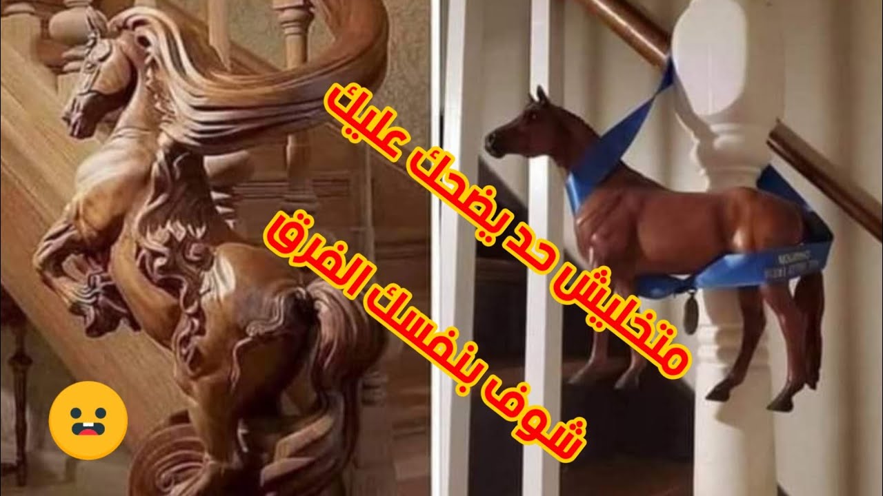 حصان قافز تربيزة من البداية متخليش حد يضحك عليك شوف بنفسك