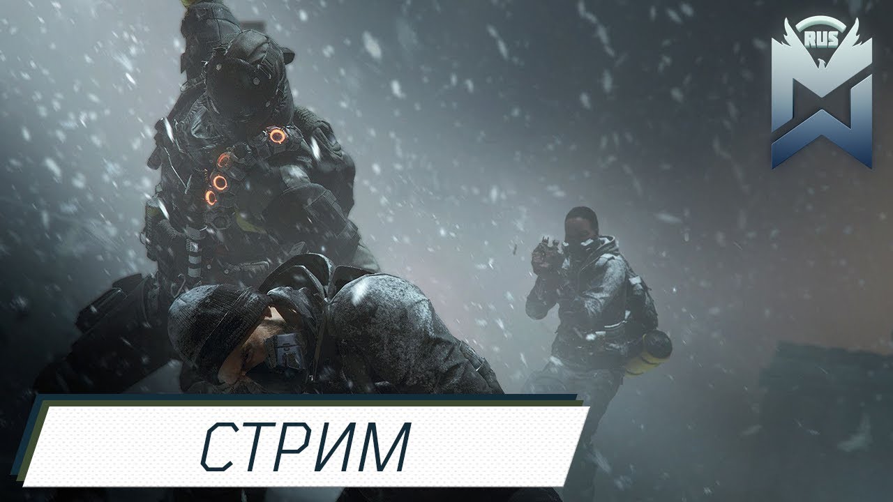 The Division  / Выживание