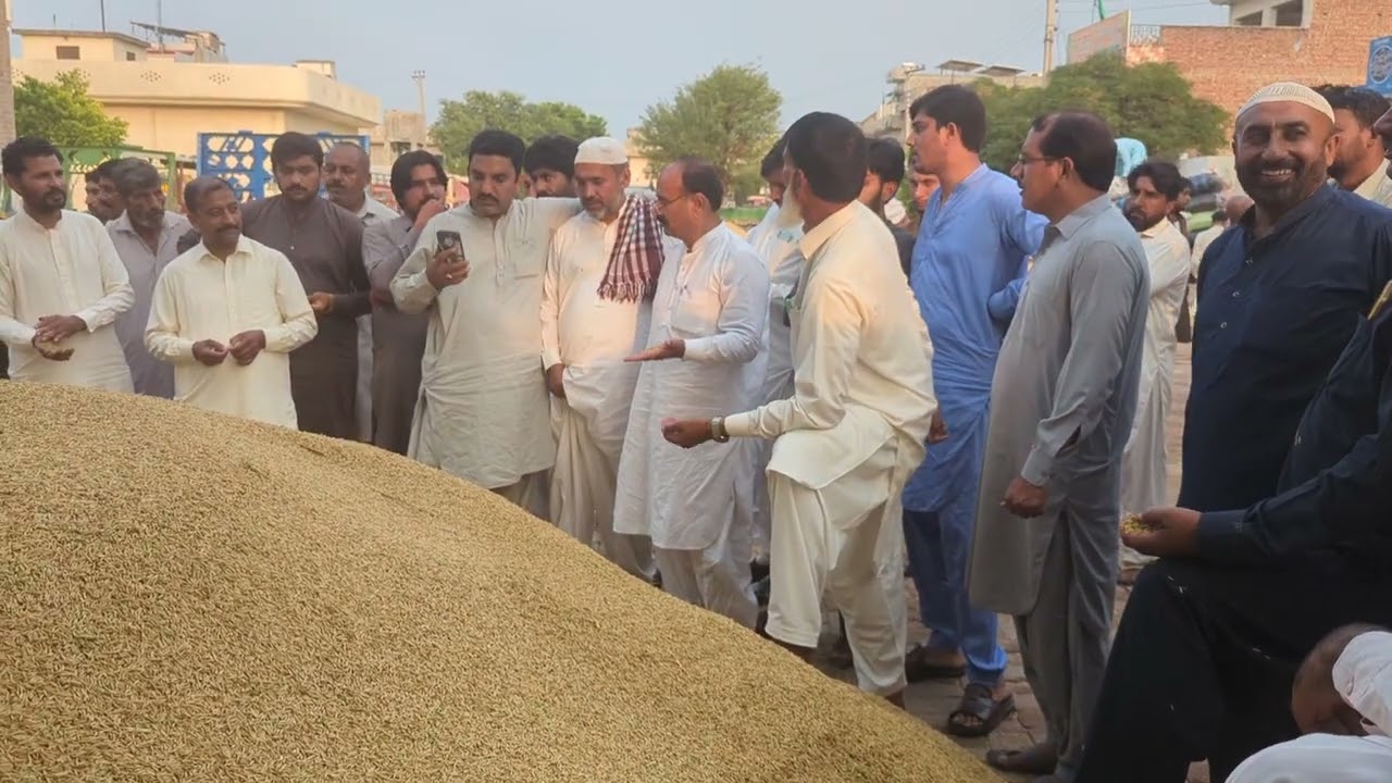 Munji Rate Today ll (1509)(اری)  rate update 