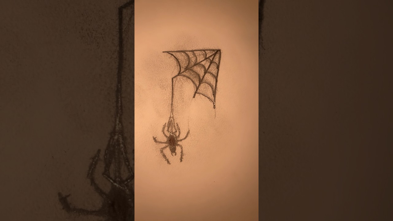 how I draw a spider! 🕷️ #art #spider #artist #draw #drawing