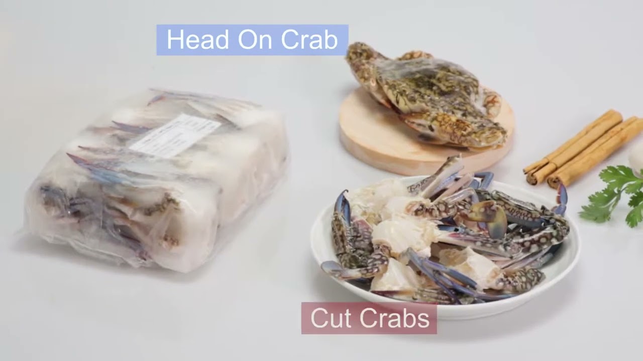 Ceylon Fresh Seafood Pvt Ltd - Seafood Delight