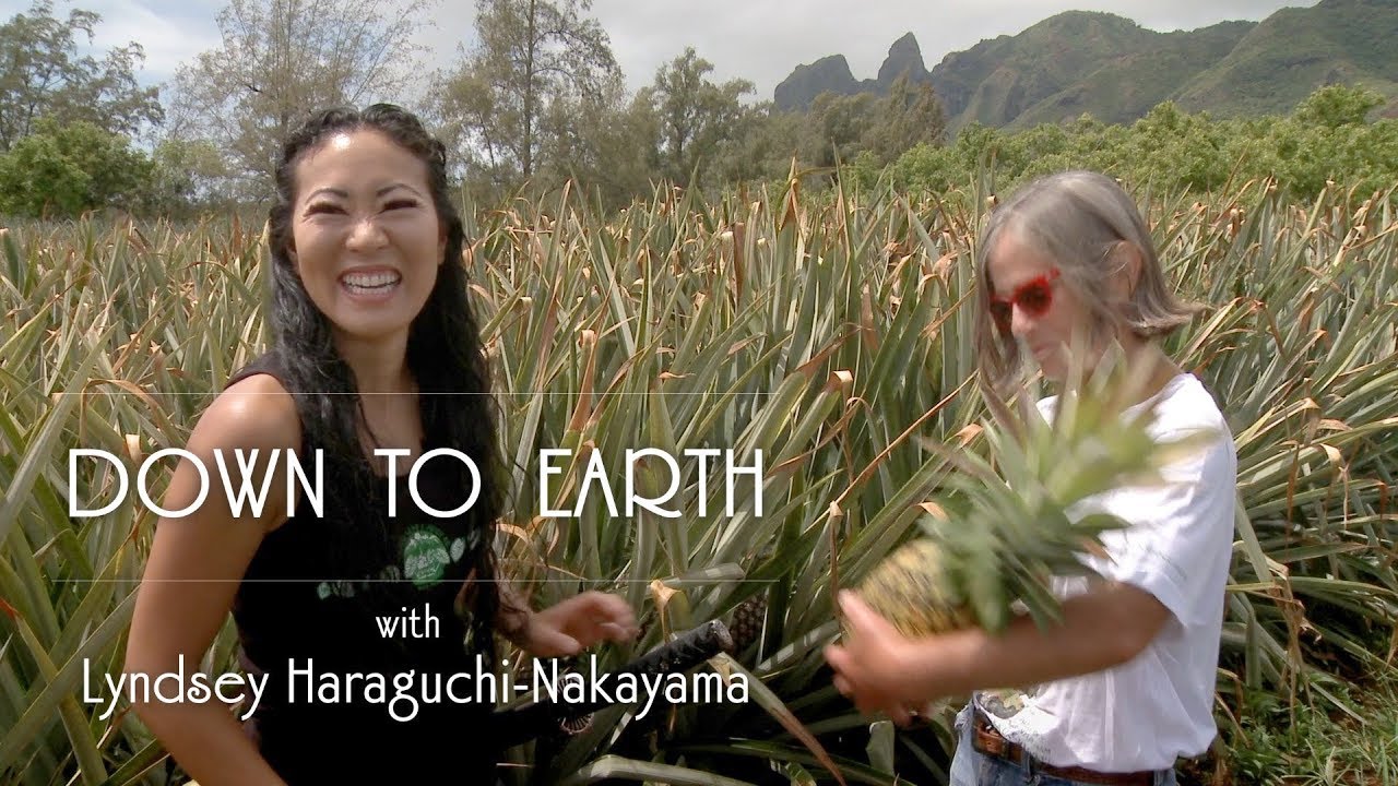 Down-to-Earth: Exploring the Extraordinary Kauai Sugarloaf Pineapple Farm