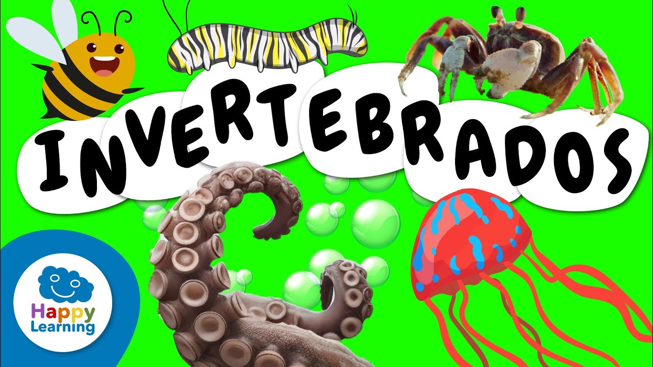🪱 Todo sobre los ANIMALES INVERTEBRADOS | Vídeos Educativos para Niños de PRIMARIA @HappyLearningES