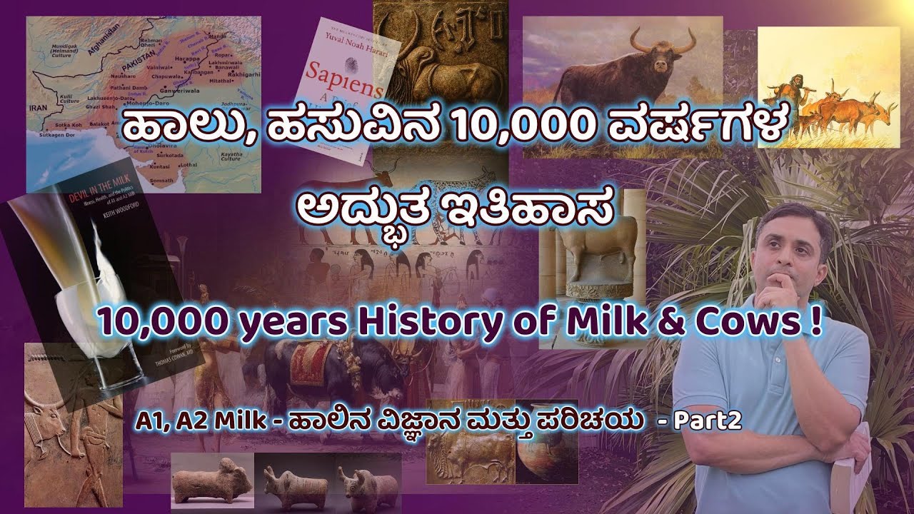 ಹಾಲು, ಹಸುವಿನ 10,000 ವರ್ಷಗಳ ಅದ್ಭುತ ಇತಿಹಾಸ / 10,000 years History of Milk and Cows - Part 2