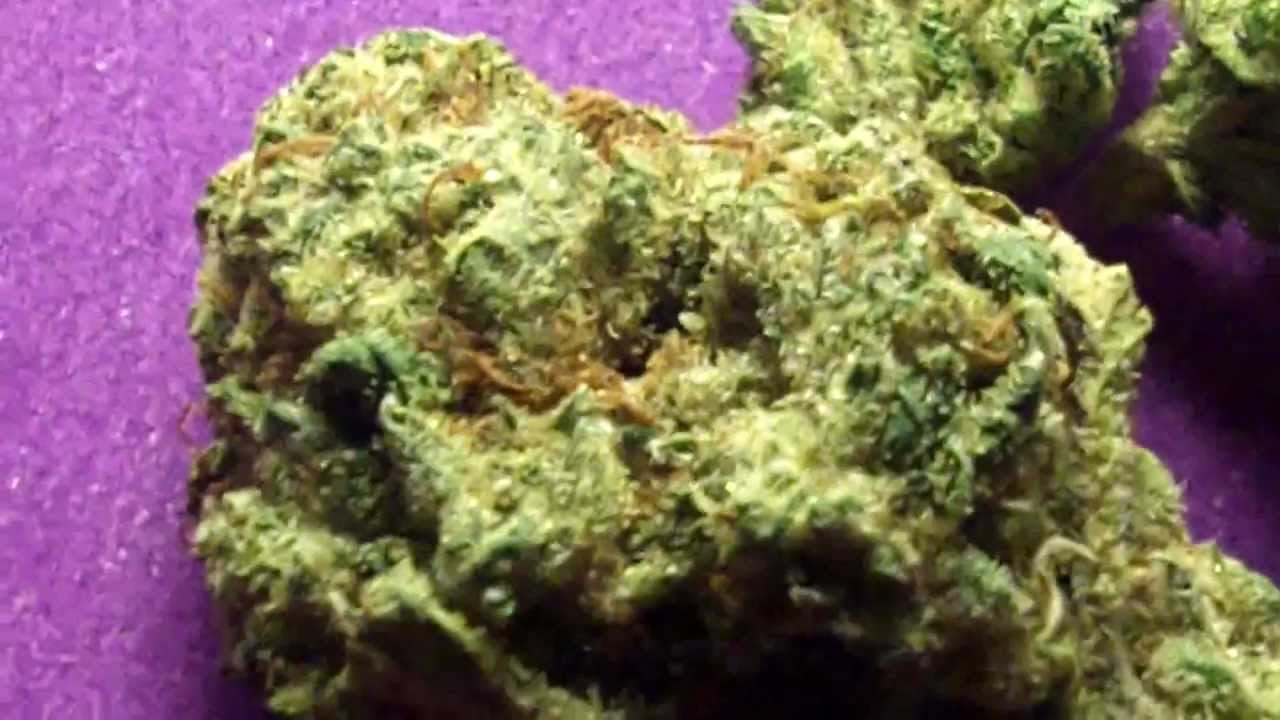 Ep 141 Barneys Farm 1080p VaNiLLA KUSH Hd Weed Review Trichomes Marijuana Buds Crystals