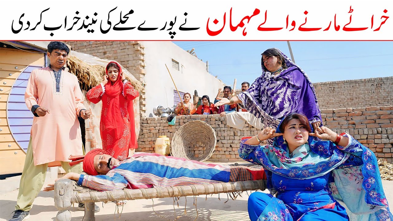 Memes 2026 | Ramzi,Noori, Bilo,Shoki, Sanam, Falak Sher,Funny Video  Rachnavi Tv
