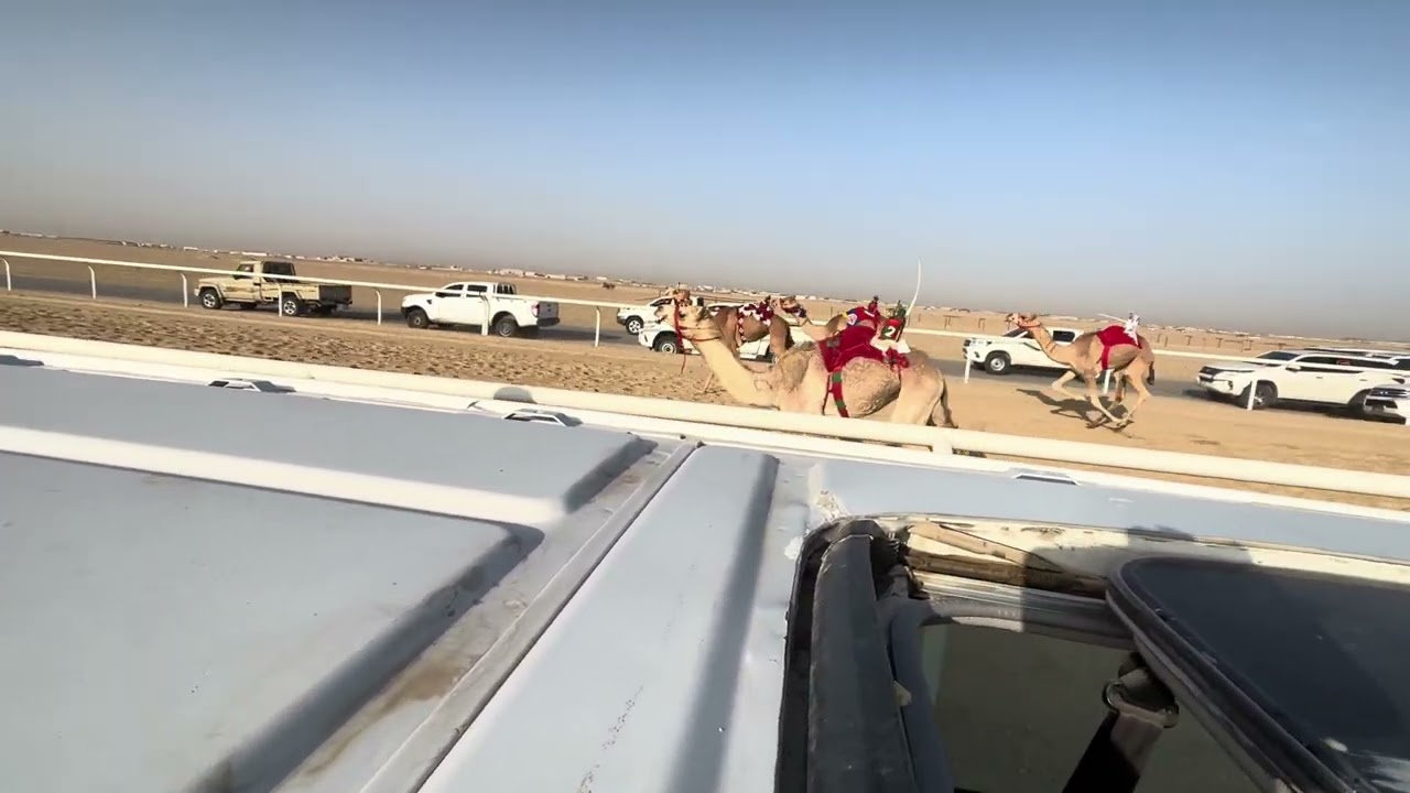 ١٧ الجوهره ملك عبد العزيز فهيد بن رقعان