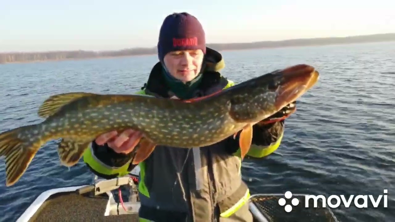 Duże szczupaki 94cm i 81cm. Woblery Dorado  Tempter18 Big Mama