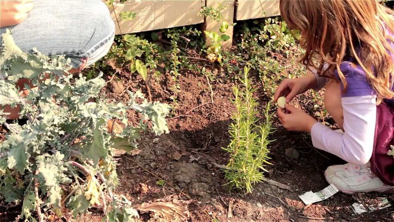 LifeCycles Project: Cultivating Communities