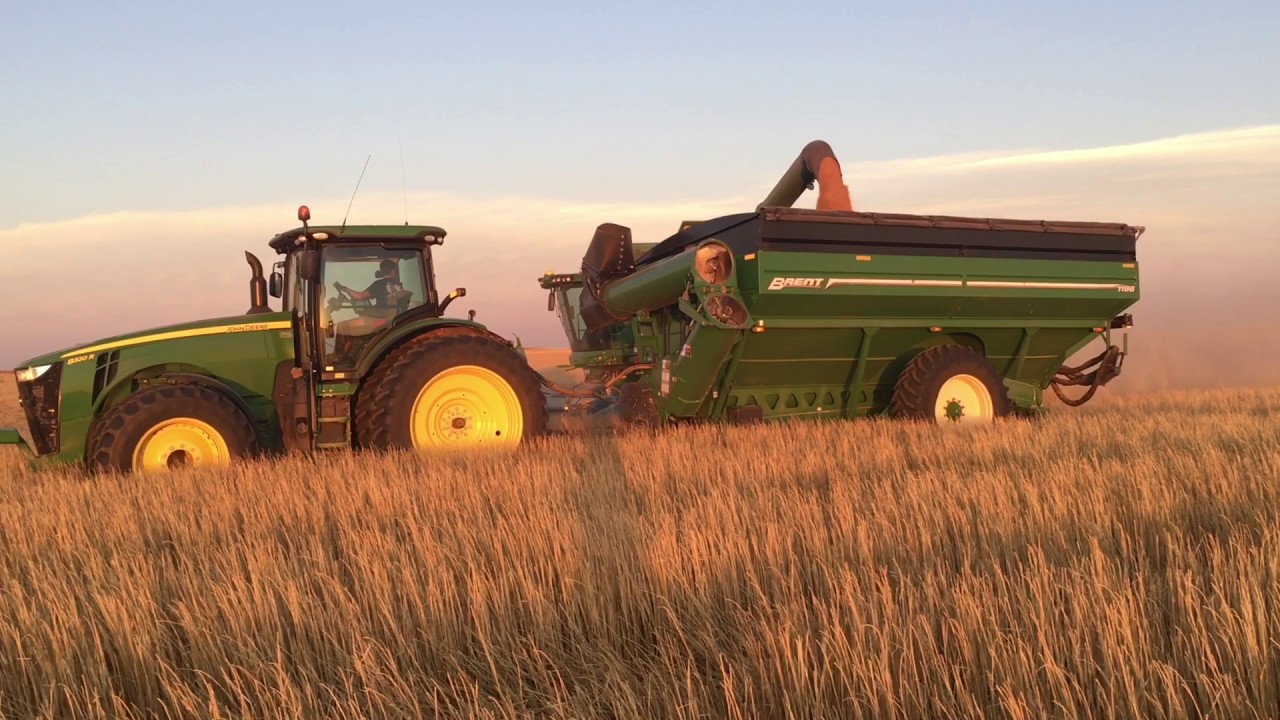 All Aboard Harvest - High Plains Harvesting - Texas Wheat Harvest 2017
