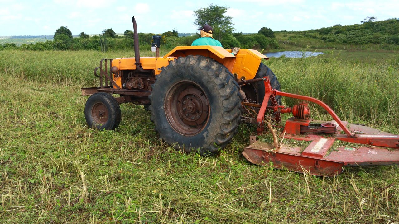Trator valmet id 85 já tá mais de 20 dias roçando mato nessa propriedade