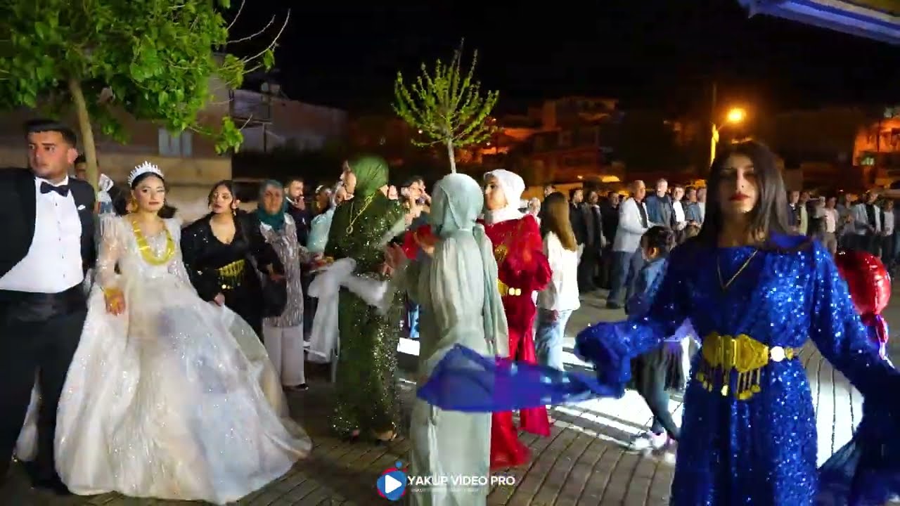 Lokman Sirnexi Diyar Akın Saliha & Yavuz'un Düğünü Mert Organizasyon (Yakup Video Pro)