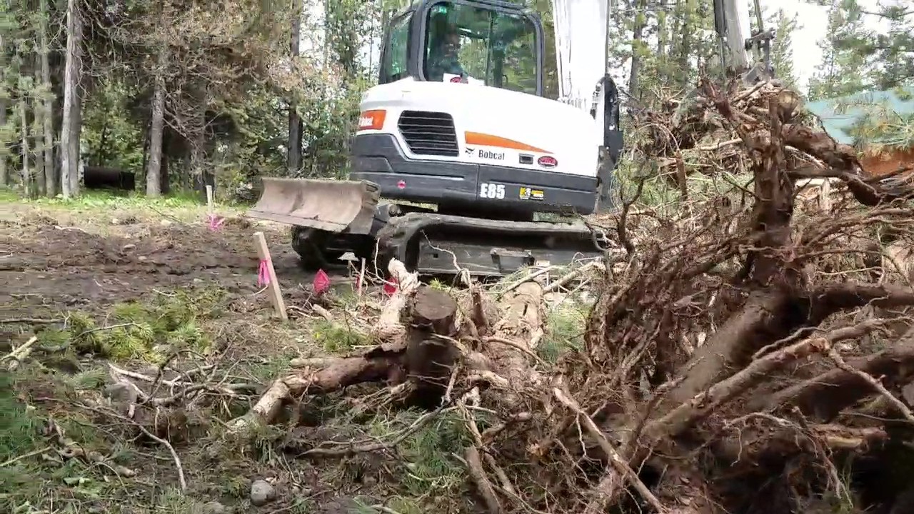 Land Clearing, What to Do with Tree Stumps