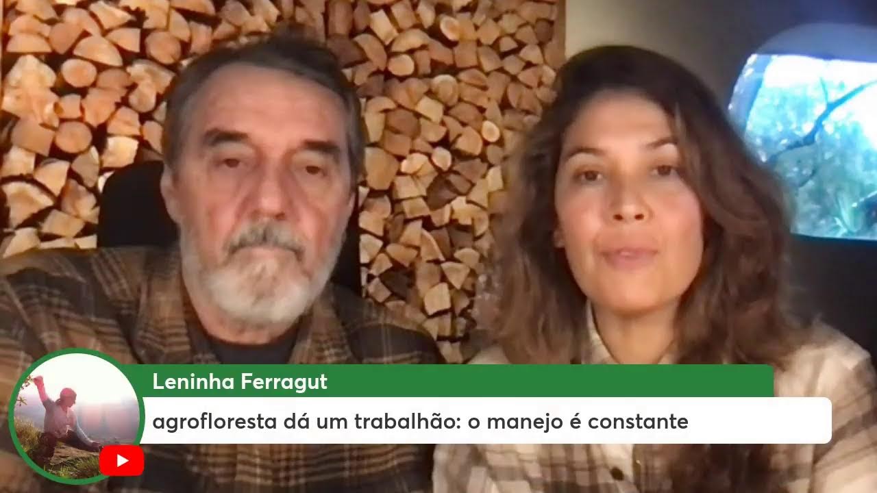 COMO ESCOLHER O QUE PLANTAR.