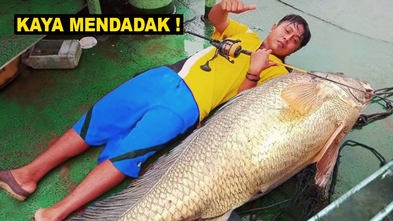 Mancing Dapat Ikan Besar Nelayan ini Kaya Mendadak &ndash; 5 Bagian Tubuh Ikan Termahal Di Dunia