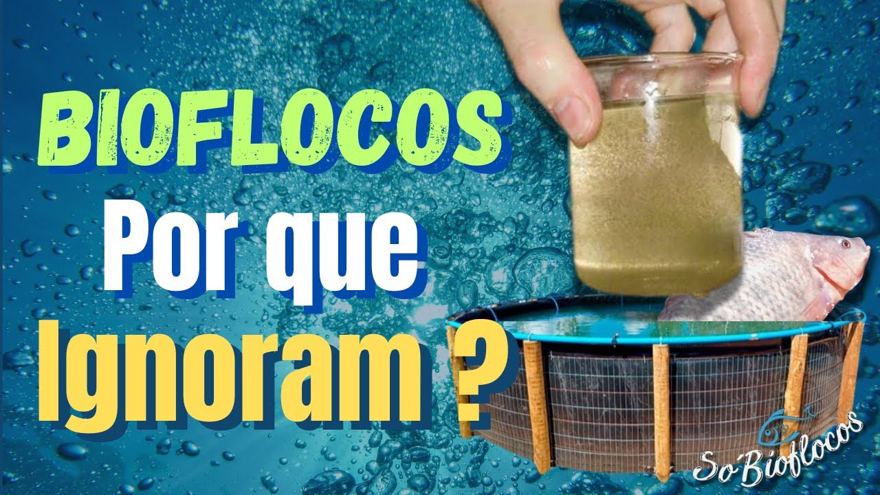 Por Que o Bioflocos é tão disruptivo na Piscicultura Tradicional? @SoBioflocos