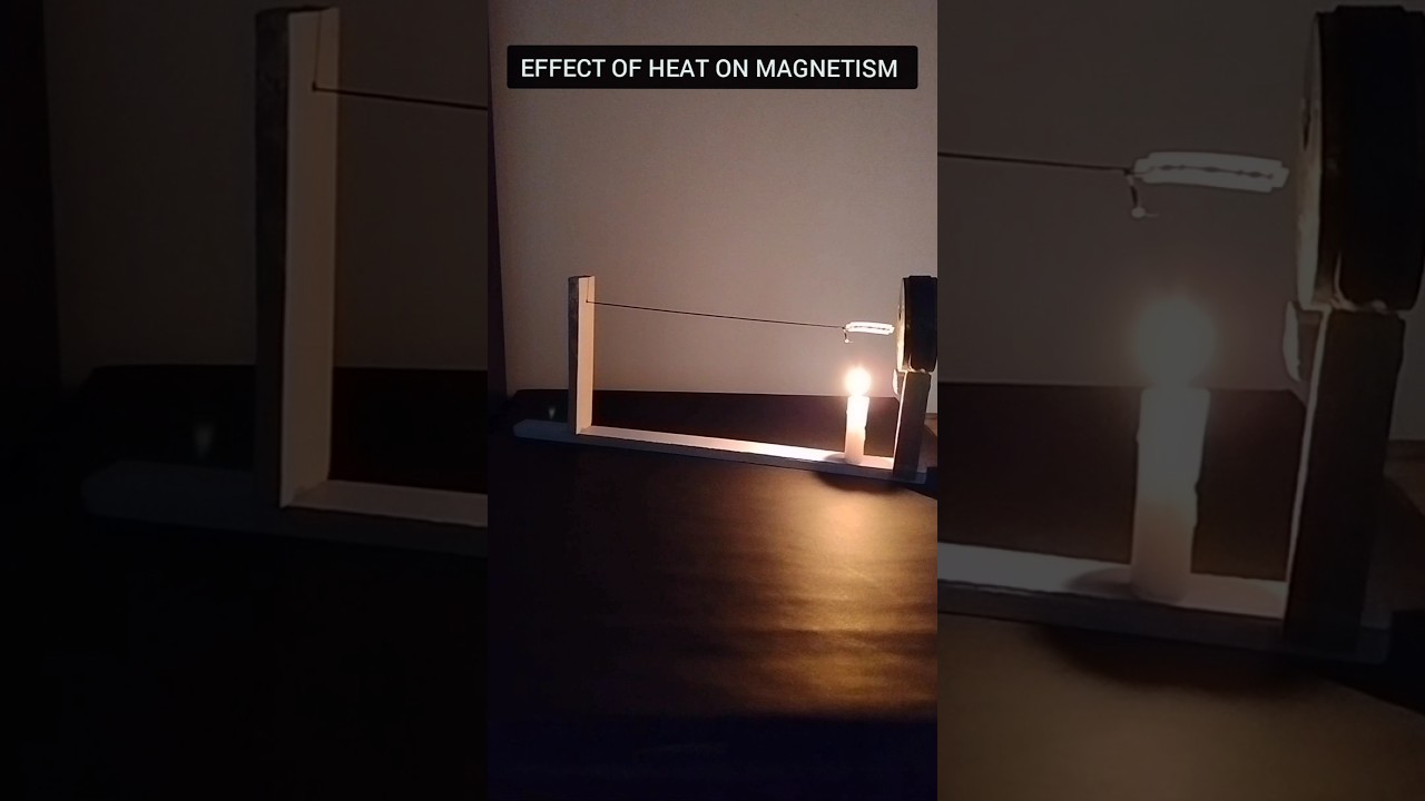 Effect of heat on magnetism #experiments #trendingshorts #science #heat #magnet #scienceprojects