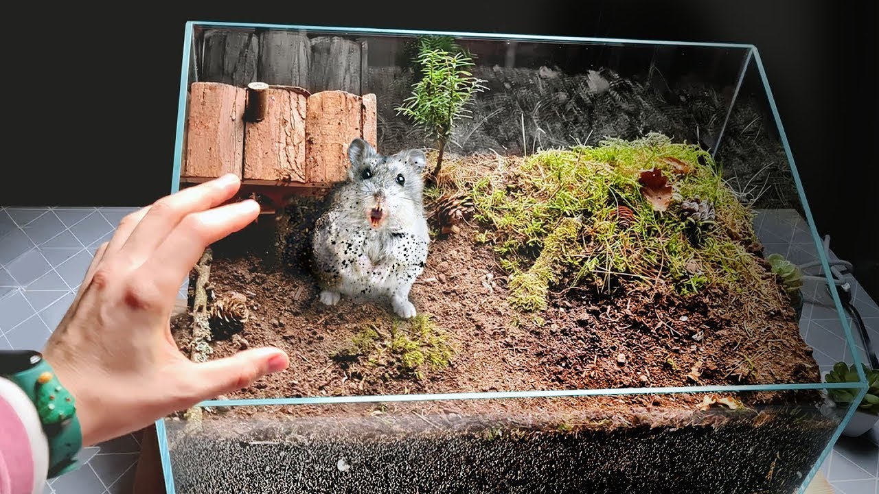 STEPHAN EST DEVENU SAUVAGE DANS LE TERRARIUM SOUTERRAIN