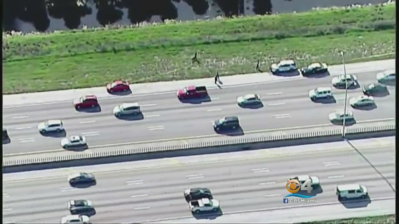 Potential Road Rage On I-95 Turns Into Stabbing