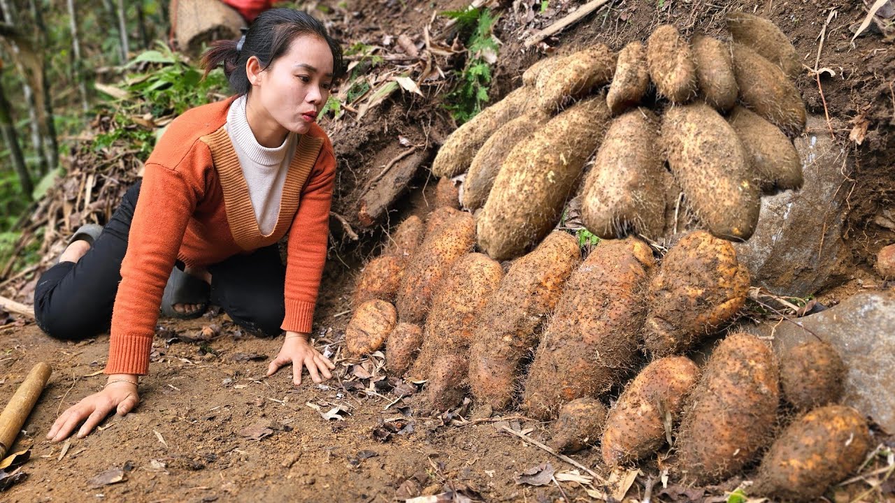 Harvest bananas, mung beans, and sticky rice cakes to sell. l Lý Thị Sai