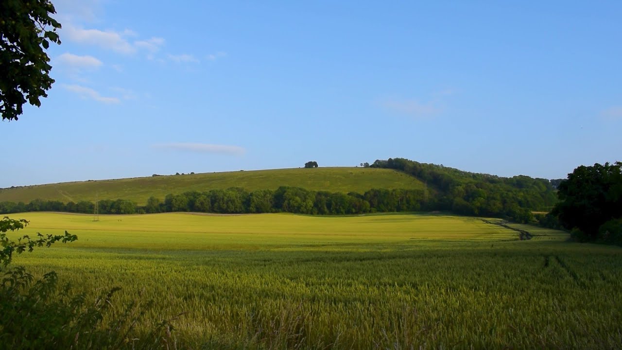Watership Down - 3 Hours of Rural Beauty and Calm - For Relaxation & Mindfulness