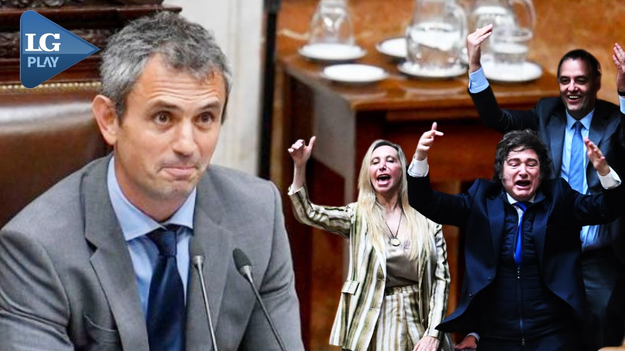 Mart&iacute;n Menem fue reelecto como presidente en Diputados