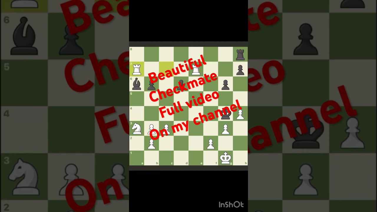 Beautiful checkmate 