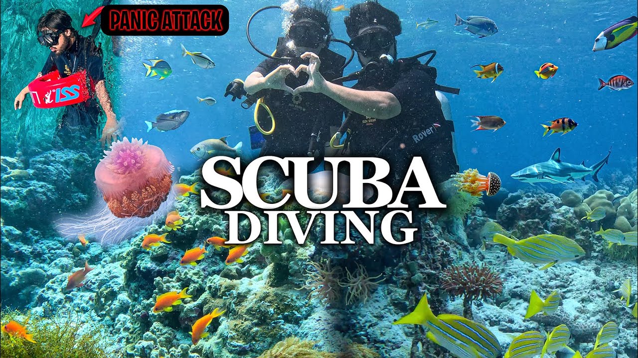 AREEB KO PANIC ATTACK AGYA 😰 | Scuba Diving In Maldives ♥️