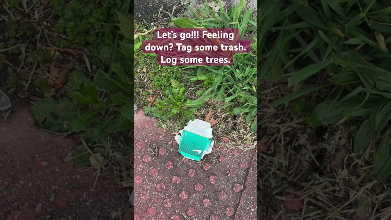 logtrees.com - ♻️ Proof of Trashtagging 2 #trash #trashtag #environment #satisfying #clean #logtrees