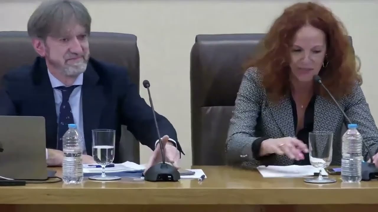 Jornadas sobre el impacto de la Ley 1/2025 en materia de eficiencia de  la Justicia - Sesión 1