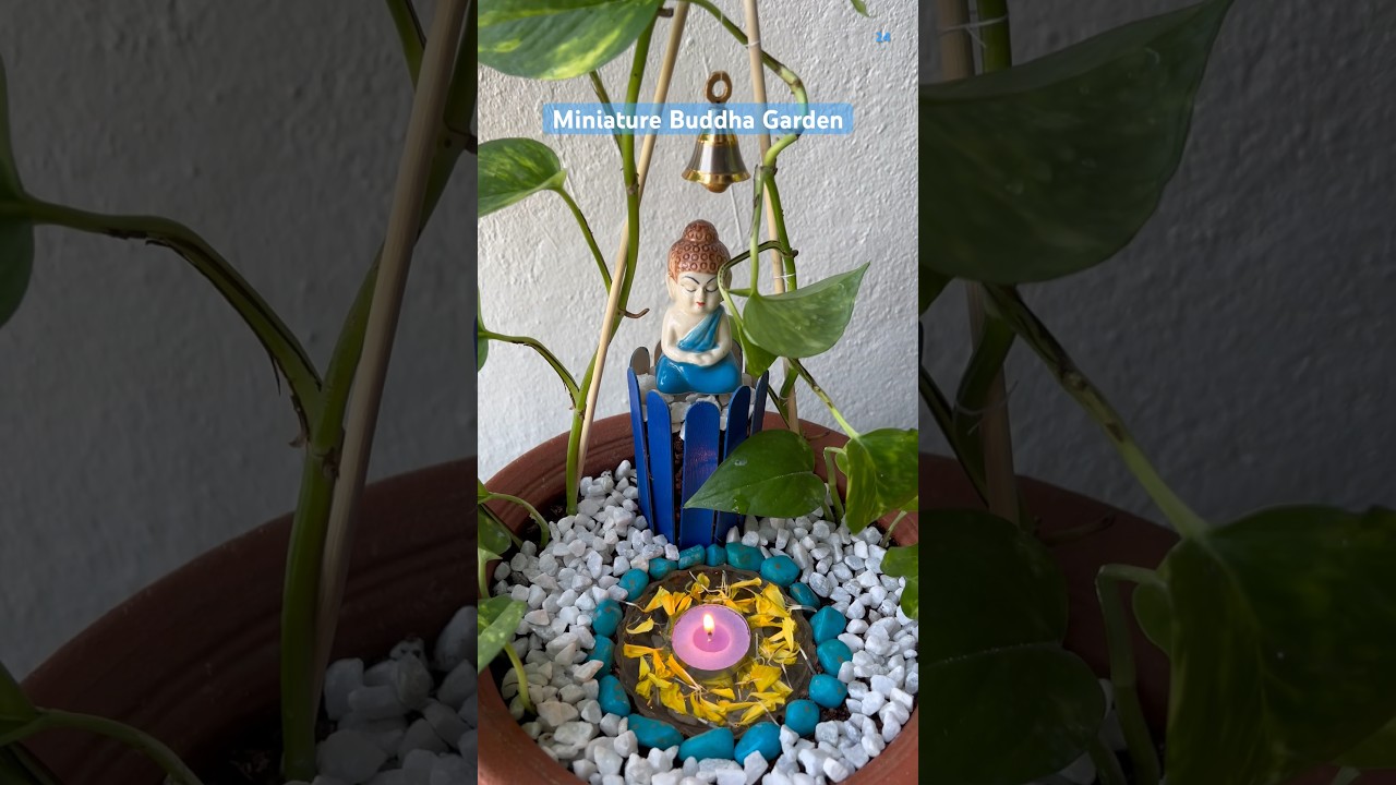 Mini Zen Garden | Easy Miniature Tabletop Garden #shorts #diyprojects #miniature #homegarden