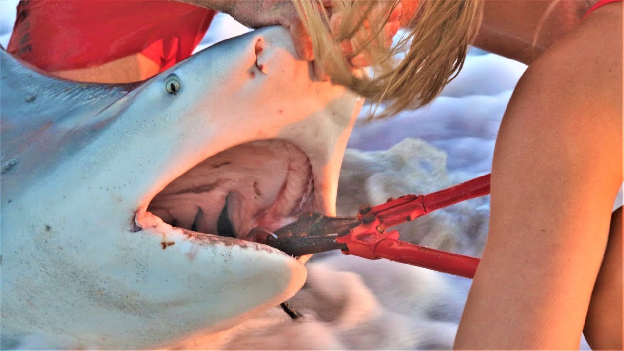 Girls SHARK FISHING with ELLIOT SUDAL the Shark Wrangler!