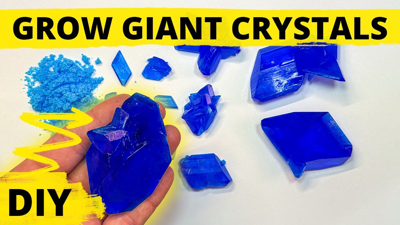 How to Grow Giant Crystals at Home 💎 DIY growing copper sulfate crystals