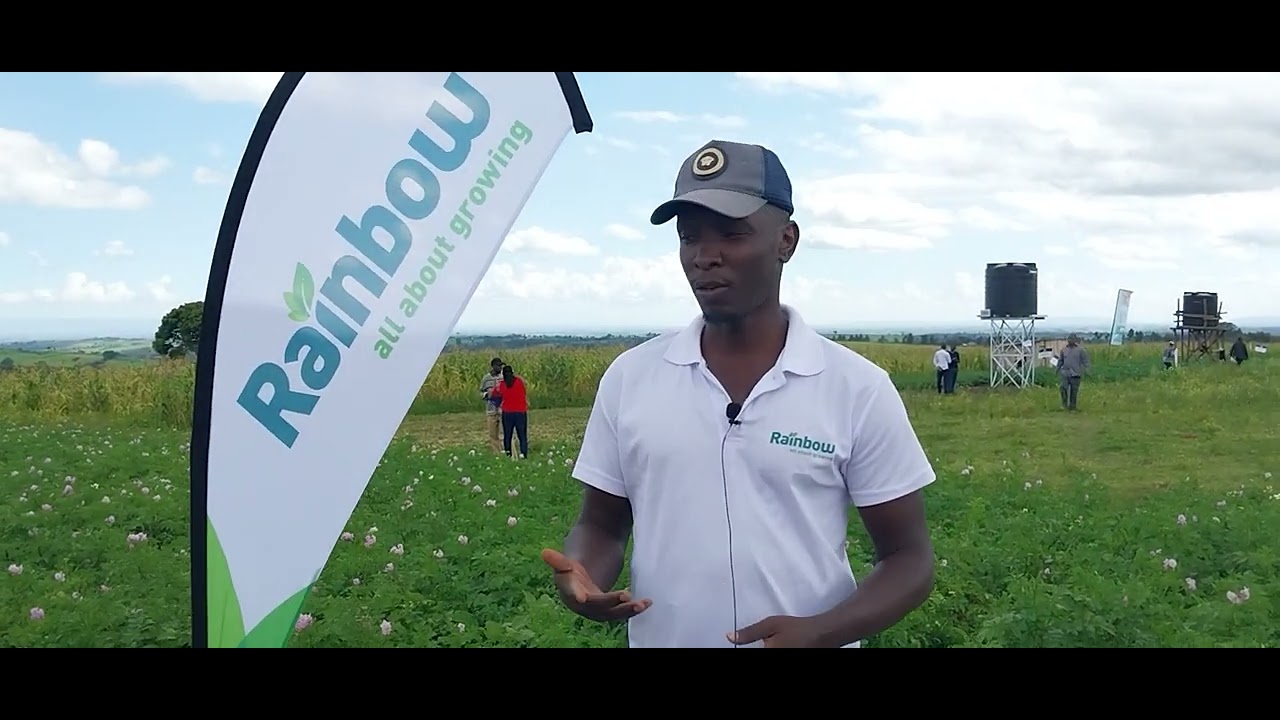 Farmers Training Field Day attended by Rainbow Agro in Narok, Eor Enkitok run by Agri Innovation Hub